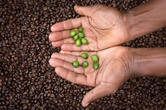 kdkinternational PLC coffee